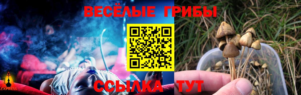 Пушкино  Псилоцибиновые грибы MAGIC MUSHROOMS  Вход с VPN 